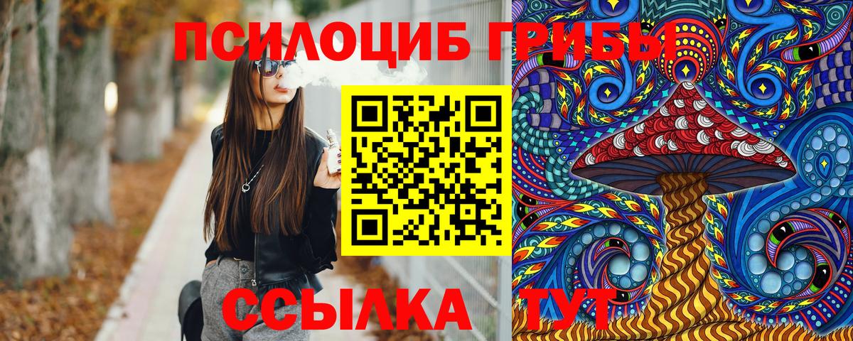Псилоцибиновые грибы Psilocybine cubensis Советск