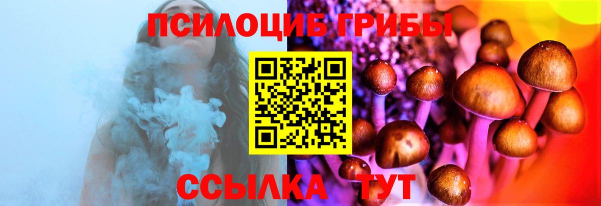 Советск  Псилоцибиновые грибы MAGIC MUSHROOMS  Вход с VPN 